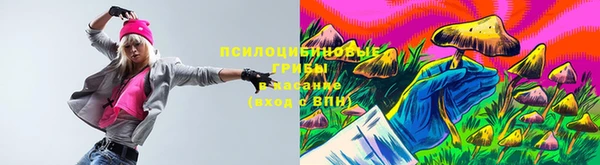 Альфа ПВП Гусиноозёрск