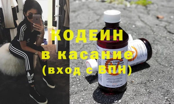 ПСИЛОЦИБИНОВЫЕ ГРИБЫ Дмитриев