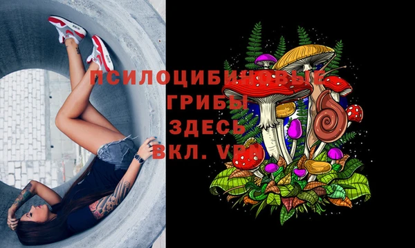 Альфа ПВП Гусиноозёрск