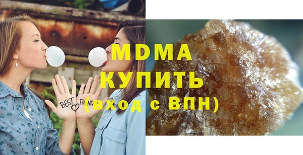 ПСИЛОЦИБИНОВЫЕ ГРИБЫ Дмитриев