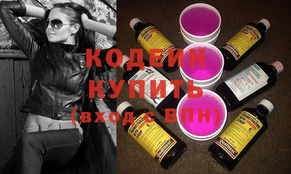 ПСИЛОЦИБИНОВЫЕ ГРИБЫ Дмитриев