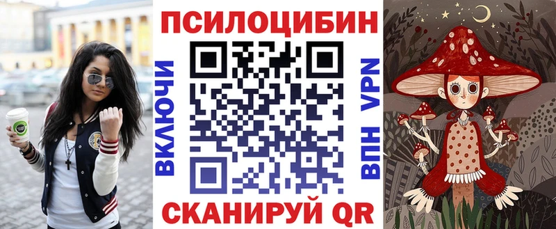 Галлюциногенные грибы Psilocybine cubensis Златоуст
